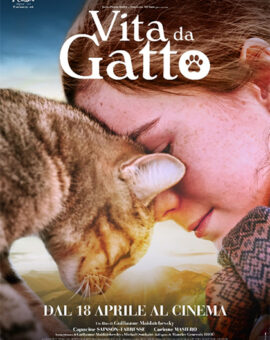 Vita da Gatto